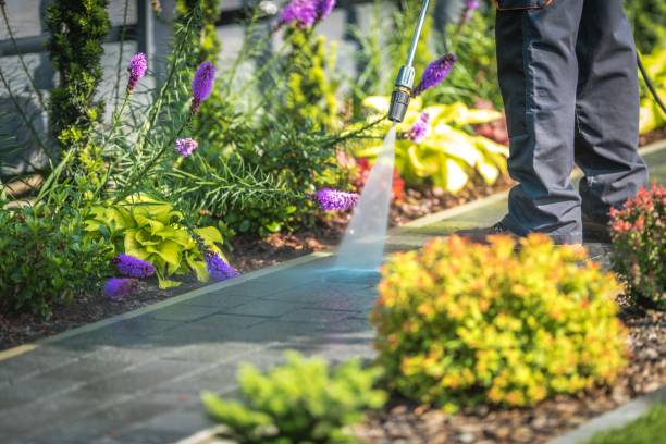 Best Animal Enclosure Cleaning  in Pasco, WA
